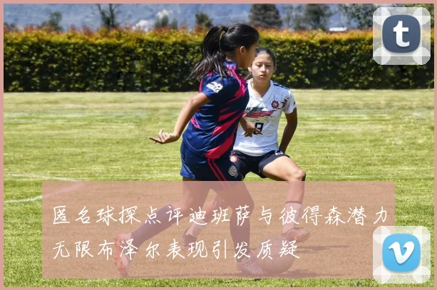 匿名球探点评迪班萨与彼得森潜力无限布泽尔表现引发质疑