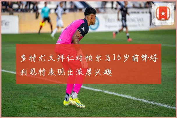 多特尤文拜仁对帕尔马16岁前锋塔利恩特表现出浓厚兴趣